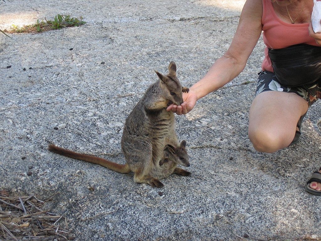 CairnsTC122 Granite Gorge.jpg